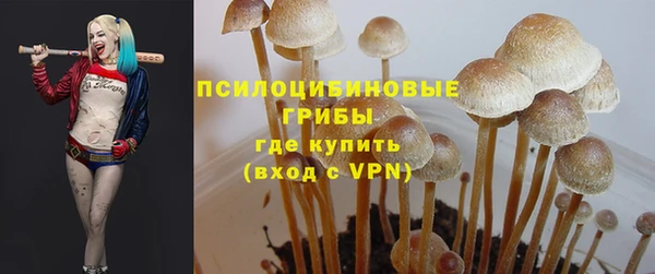 мяу мяу кристалл Липки