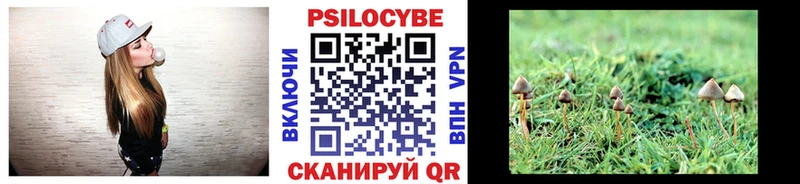 Галлюциногенные грибы MAGIC MUSHROOMS  ссылка на мегу ТОР  Топки 