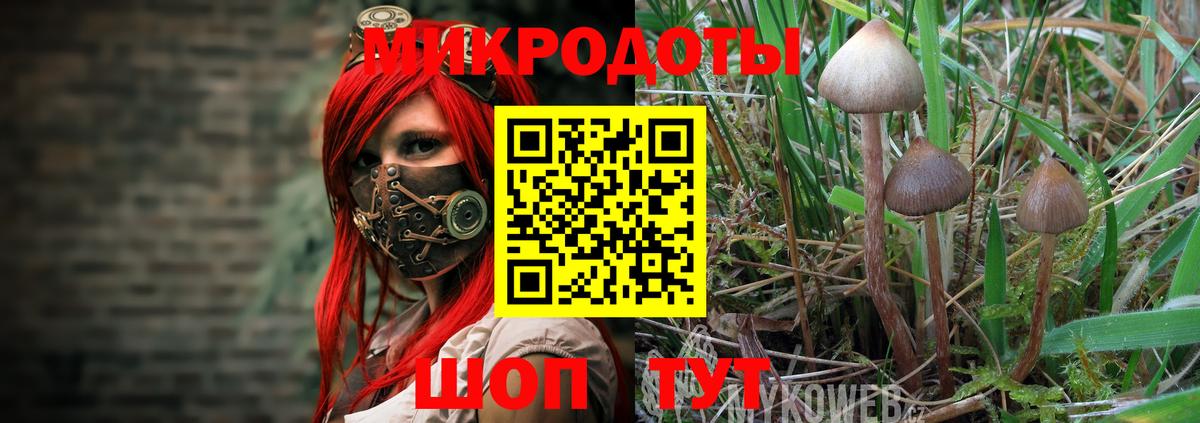 Галлюциногенные грибы ЛСД  Вход с VPN  Топки 