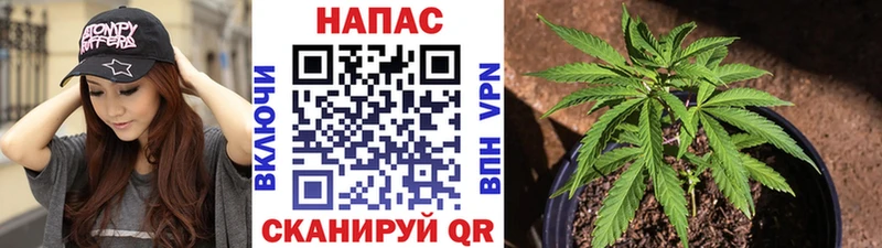 Бошки марихуана семена  Топки 